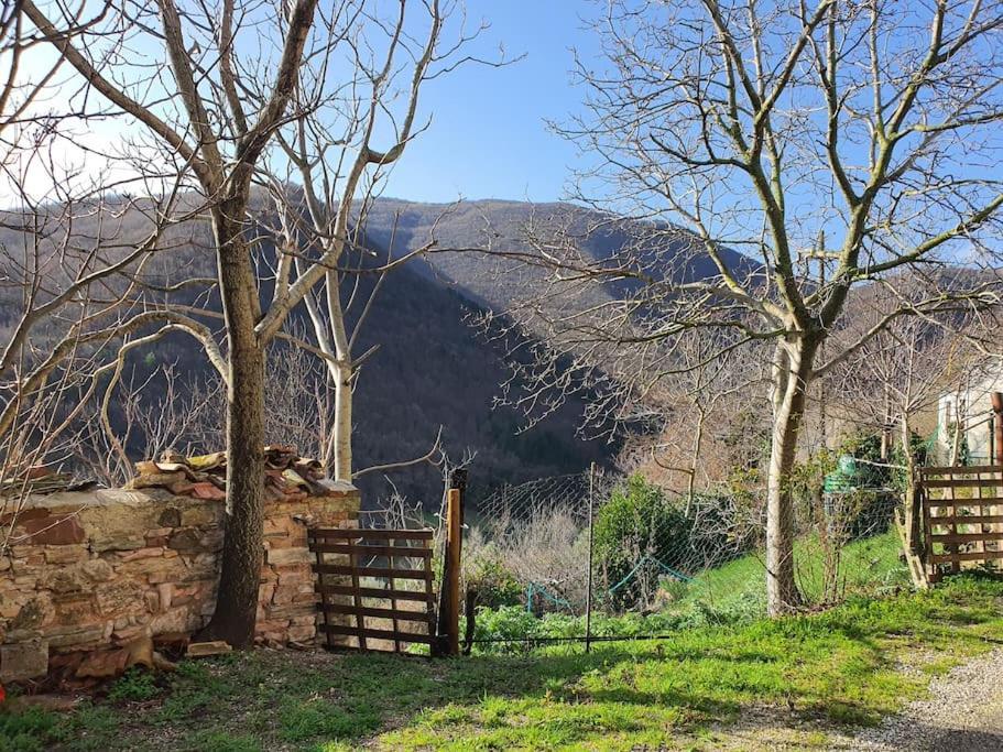 La Quiete Tra Le Montagne Apartment Apiro Bagian luar foto
